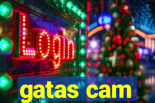 gatas cam